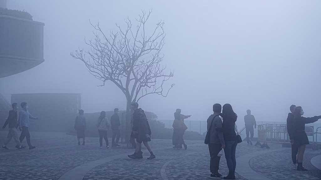Small daily pleasures may help beat winter’s motivational slump