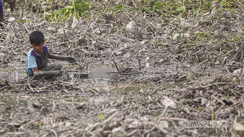 A child clears water hyacinths from a field to catch fish as monsoon water drains away at Ghoshkanda in Dhaka’s Keraniganj. Photo: Abdullah Al Momin