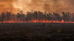 Global warming is accelerating: report