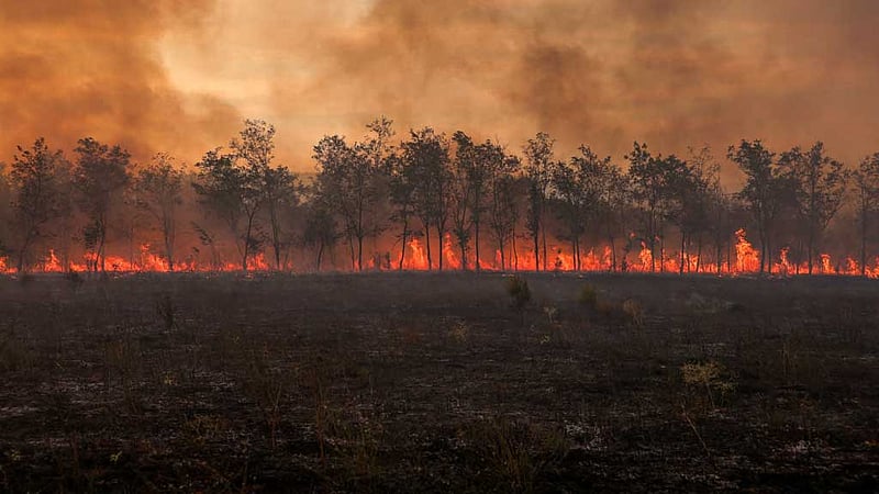 Global warming is accelerating: report
