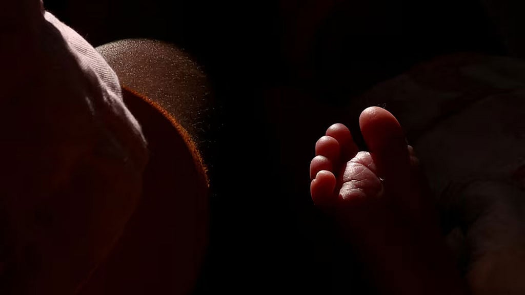 Researchers identify pregnancy antibodies as possible trigger of some preterm births