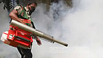 Dengue: 4 more die, 1,512 hospitalised