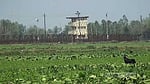 BGB lodges protest over ‘BSF stun grenade blast’