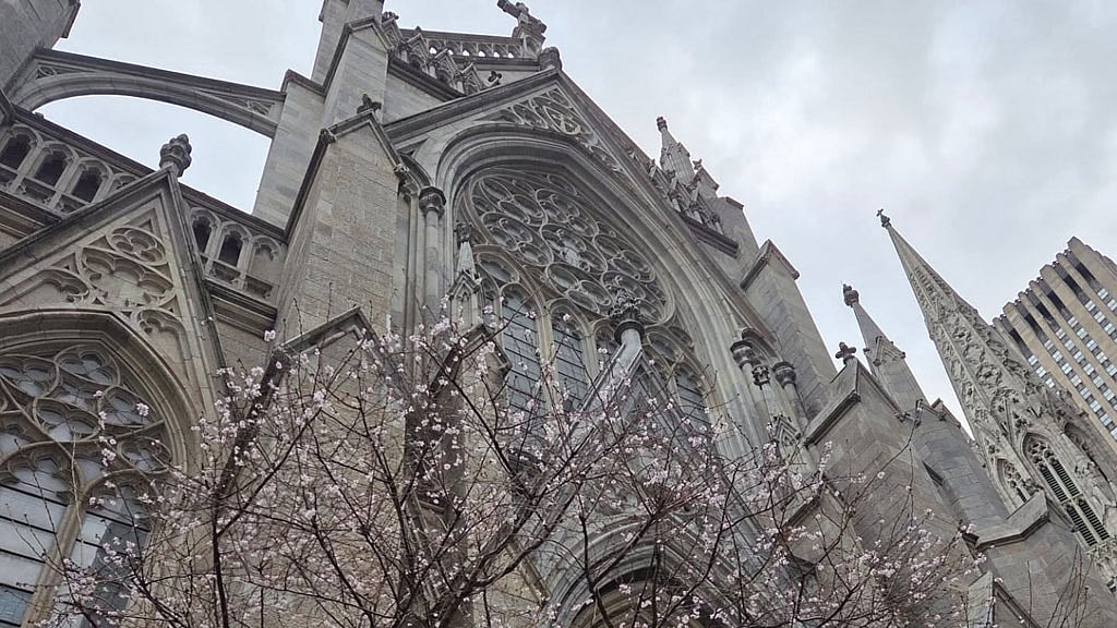Abuse survivors approve $800 million settlement with Archdiocese of New York