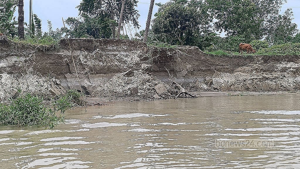 Lawyer files petition seeking halt to illegal sand extraction from Padma River