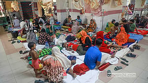 Dengue surges as old mosquito tactics fail