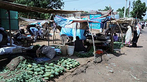 US, dozens of countries warn of Sudan famine risk
