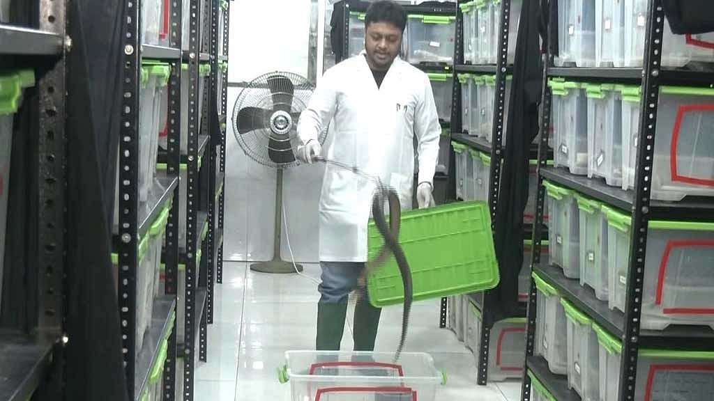 Bangladesh’s lone venom lab fights for survival as antivenom research stalls