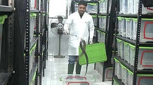 A lifeline for snakebite victims, left to struggle