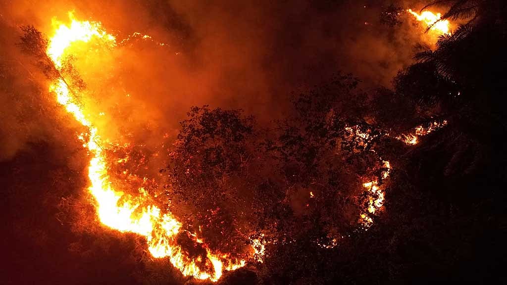 Wildfire smoke exposure during pregnancy linked to higher autism risk in children