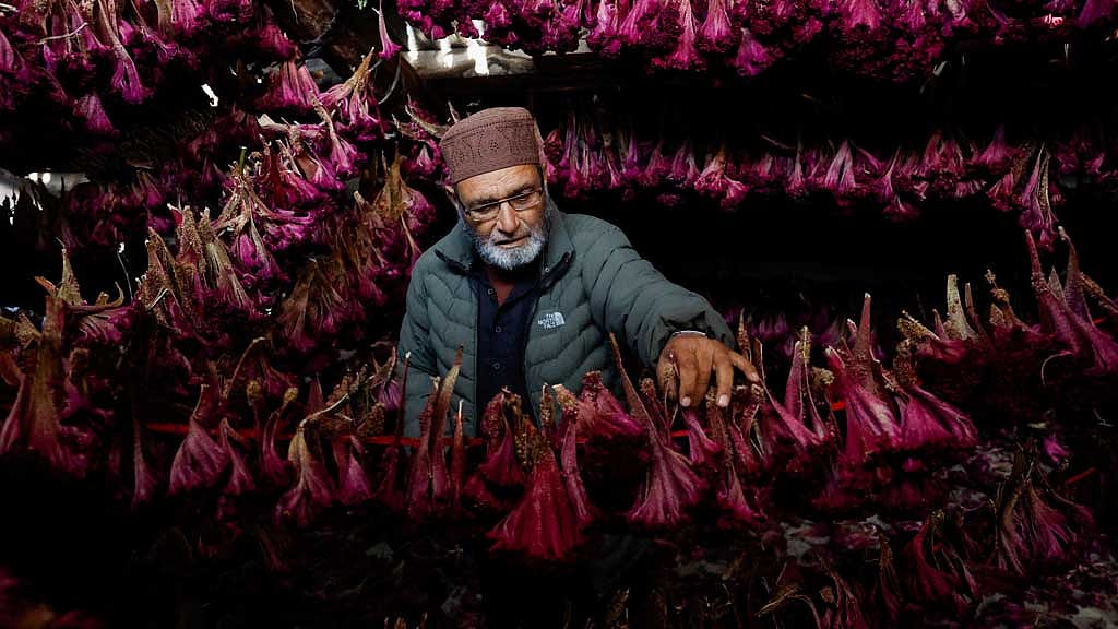 India says trade deal with US will not hurt its farmers