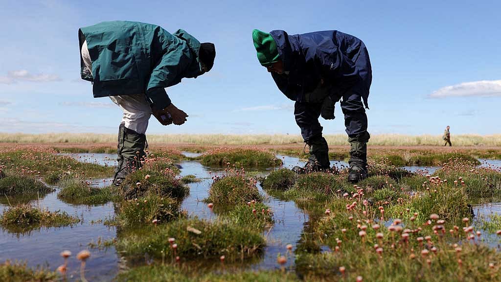 World is far behind on ecosystem restoration target, UN says