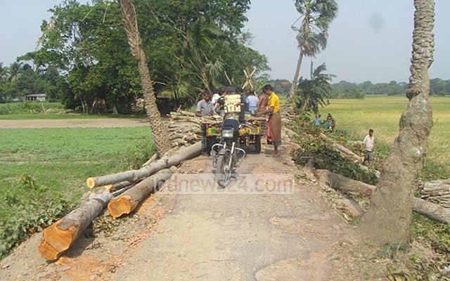 গাছ কাটার পরের দৃশ্য