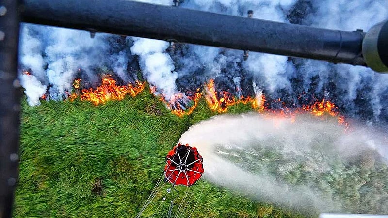 Rain aids fight against Belgium's biggest wildfire, as blazes rip through Europe
