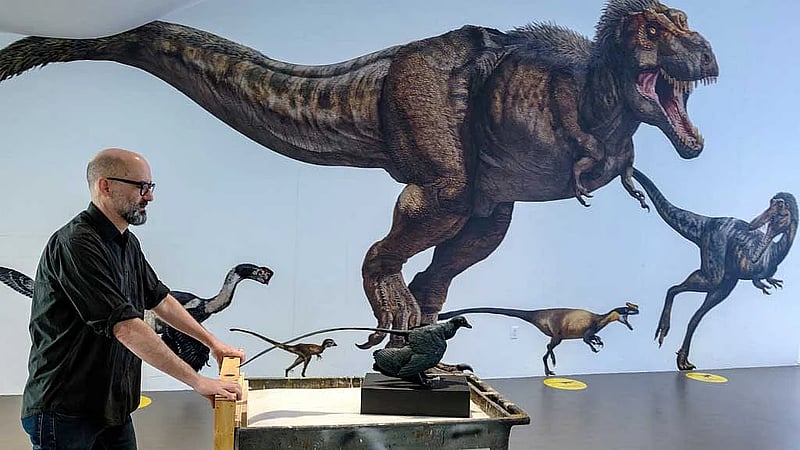 Why were there no tiny dinosaurs? You might blame the mammals