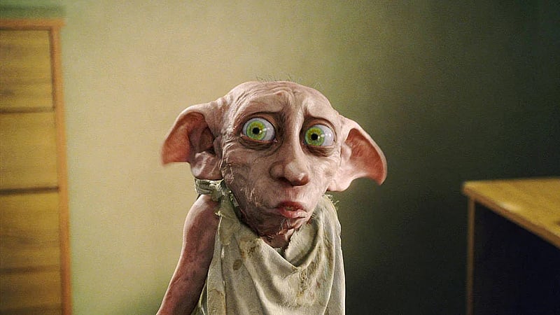 Harry Potter fans force £430mn cable reroute to spare Dobby's 'grave'