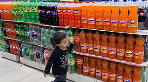 India wanted red flags on chip packets and soda. Big Food fought back
