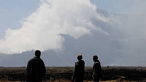 Fire near Indonesia's Mount Bromo extinguished after 550 hectares burnt, but new hotspots emerge