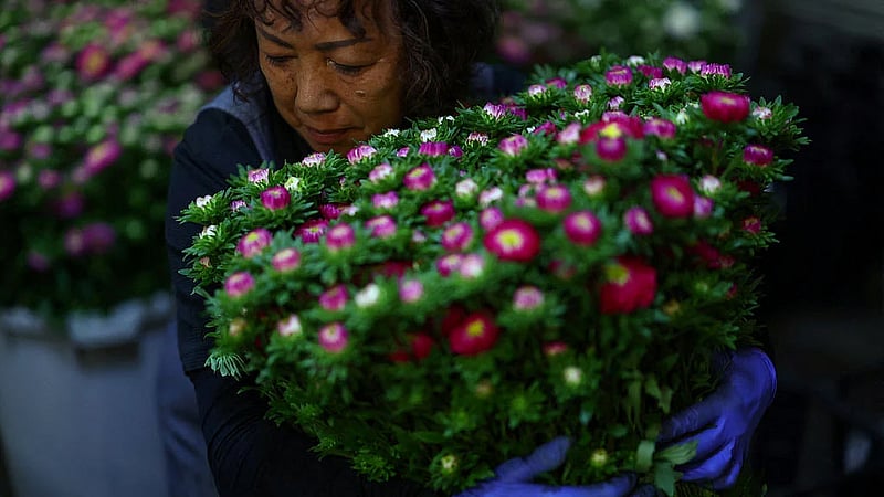 Japan's farmers go nocturnal as deadly heat intensifies