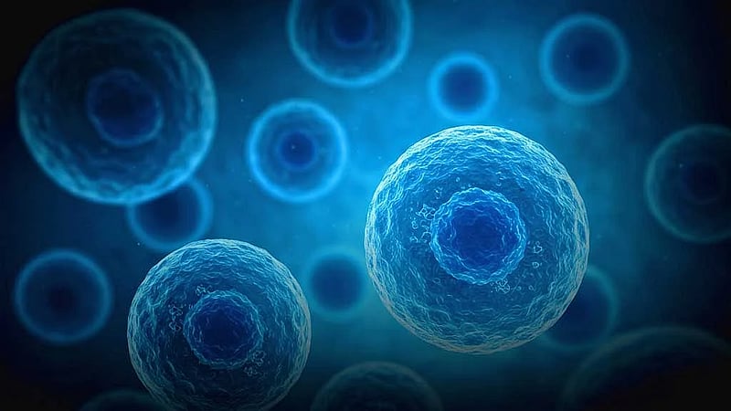New stem cell treatment offers hope as heart transplant waiting lists grow