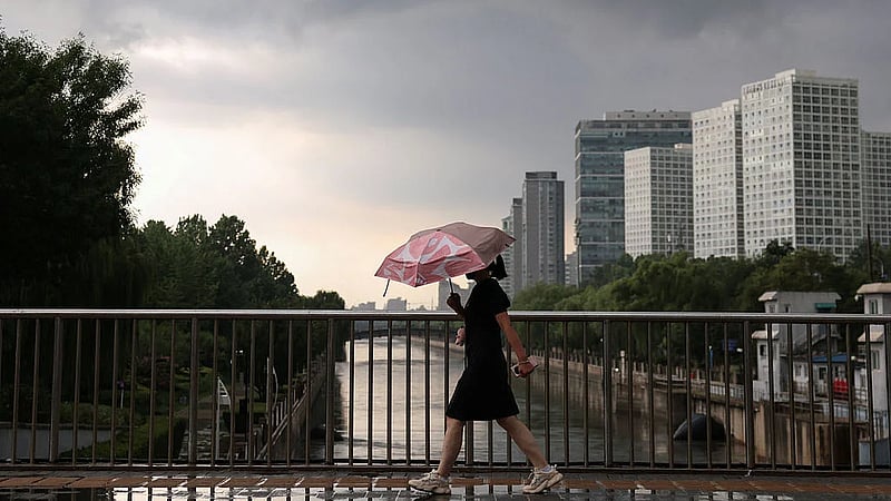 Rain pounds Beijing as Typhoon Dolphin sweeps through China