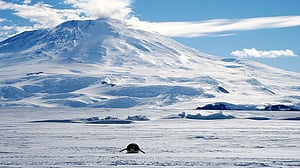 Here's why the South Pole froze over before the North Pole