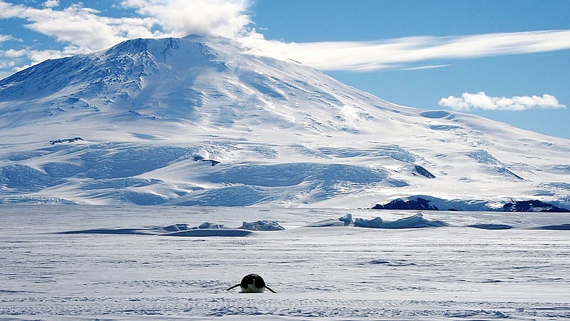 Here's why the South Pole froze over before the North Pole