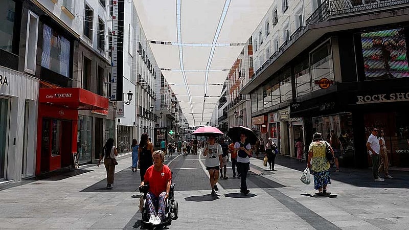 Europe may face 'more deadly weeks' as new heatwave builds, WHO warns