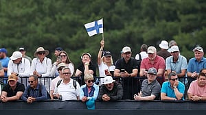 Finland detects African swine fever for first time