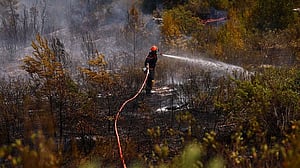 France records 5,764 excess deaths during June-July heatwaves, health agency reports