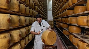 Extreme heat threatens Italy's Parmesan heartland