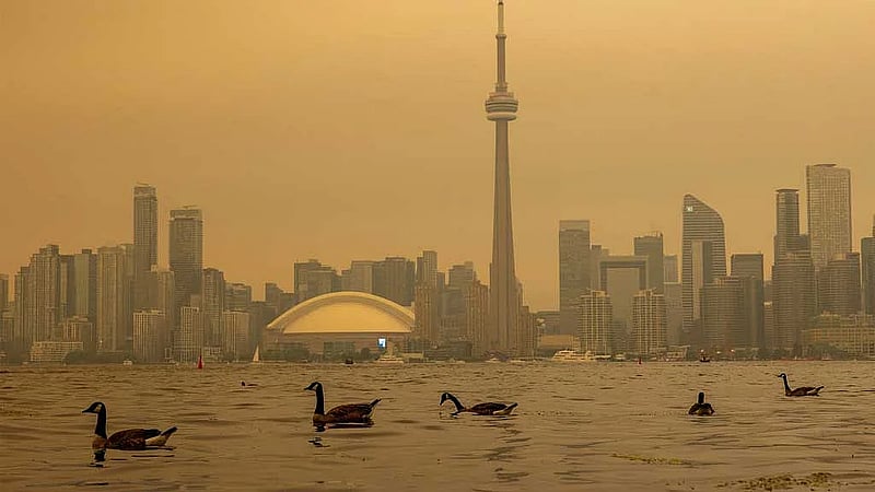 The serious health risks posed by wildfire smoke