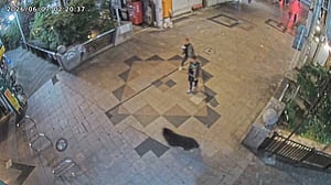 Japanese city suspends 94 schools after first-ever bear sighting