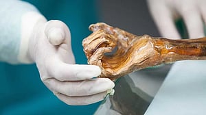 Scientists reveal Ötzi the Iceman's dynamic microbial world