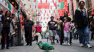 Merlin the duck: From Mexico City streets to World Cup stardom