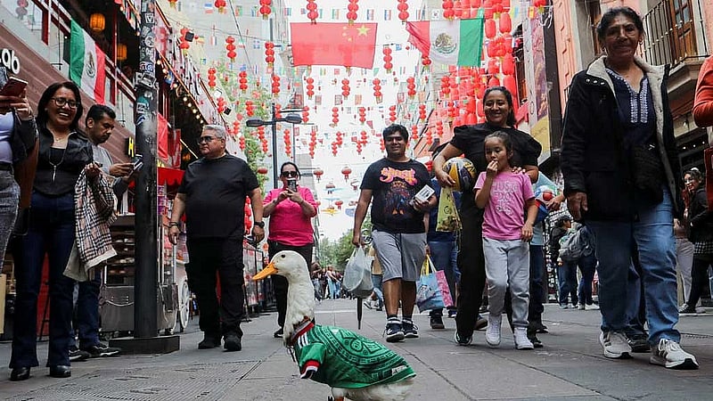 Merlin the duck: From Mexico City streets to World Cup stardom