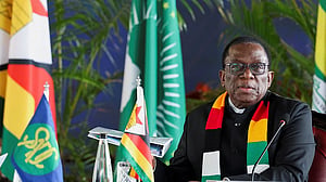 Zimbabwe's 'Crocodile' leader makes another move to consolidate power