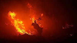 Natural emissions from warming ecosystems could amplify global heating by 30%, study finds