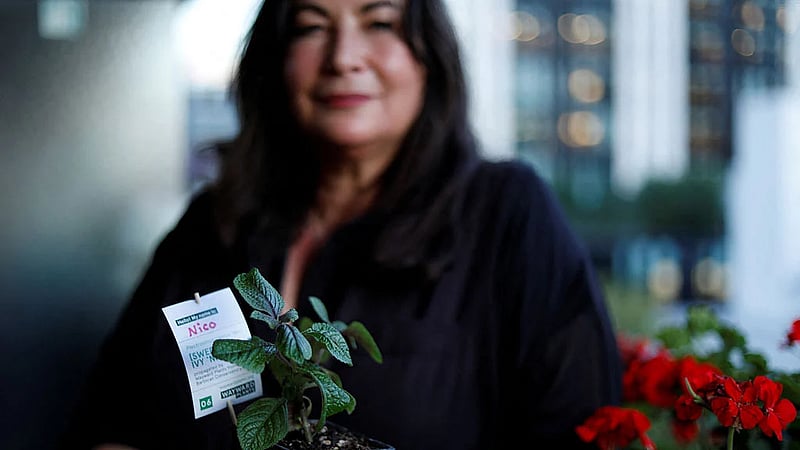 London 'plant parents' adopt a piece of historic Barbican urban jungle