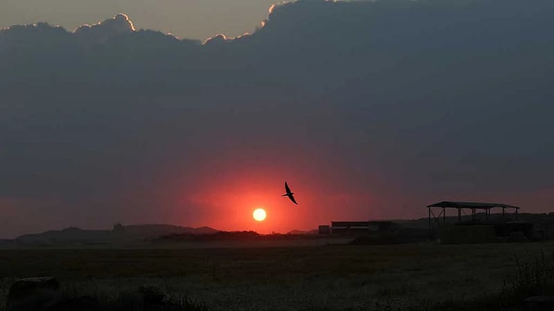 Spain records 61 heatwave days in 2026, highest on record
