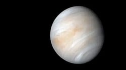 Venus likely consumed any moon it ever had, new study suggests