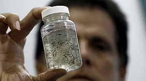 Chattogram reports zika outbreak, at 'high risk' for dengue, chikungunya