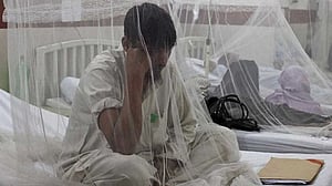 Bangladesh logs 271 new dengue hospitalisations in a day
