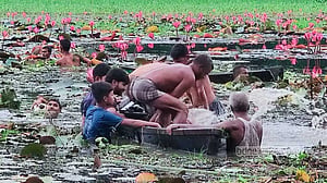 Two drown while filming TikTok video in Gazipur’s Shapla Beel