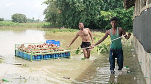 Floodwaters trap nearly 7,000 families across Feni