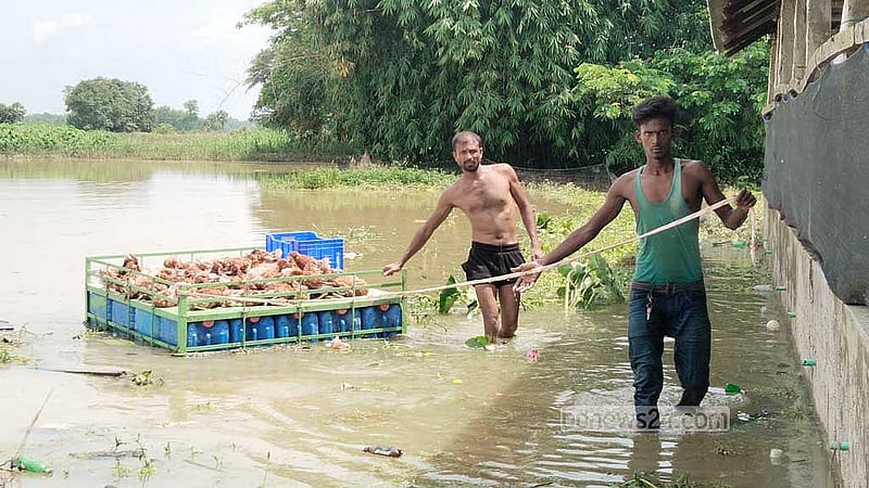Floodwaters trap nearly 7,000 families across Feni
