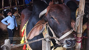 Eid-ul-Azha returns with outward sacrifice tied to inner purification