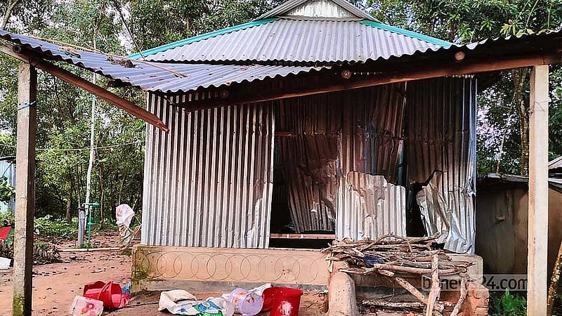 Rampaging wild elephants unleash fear among residents near Sherpur border