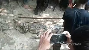 Crocodile beaten to death in Madaripur’s Arial Kha River