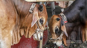 Bangladesh to celebrate Eid-ul-Azha on May 28